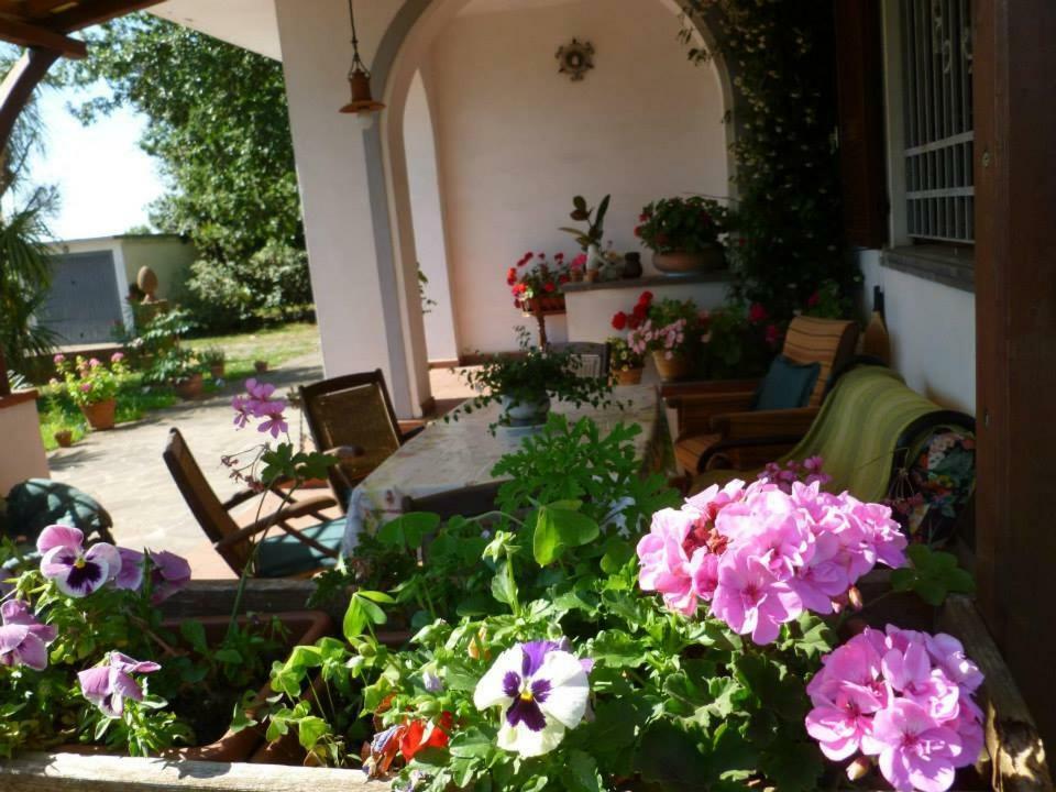 Bed and breakfast Carla
