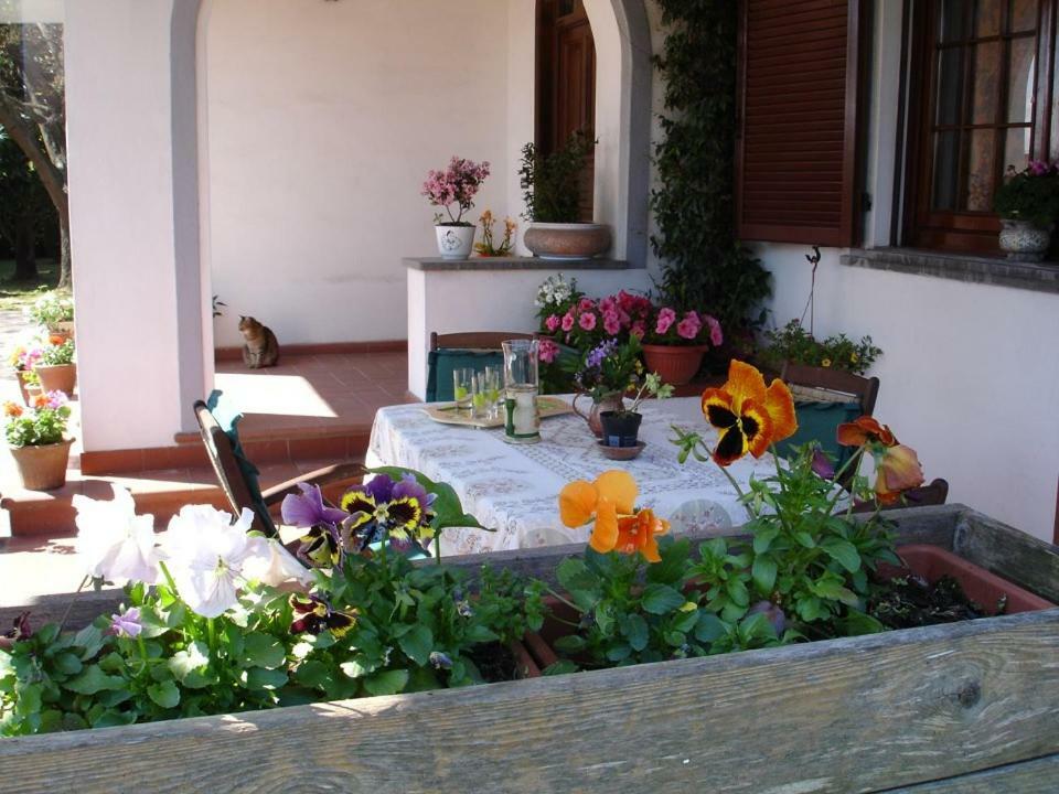 Bed and breakfast Carla Pisa